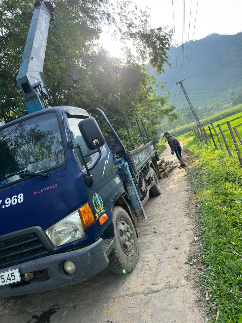 ban xe tai cau huyndai sx209