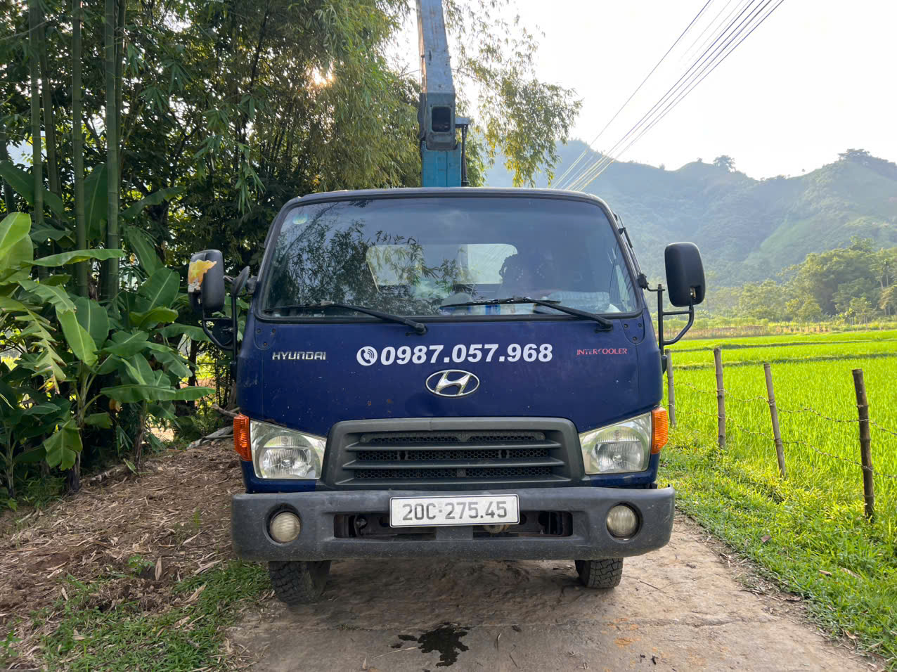 ban xe tai cau huyndai sx209