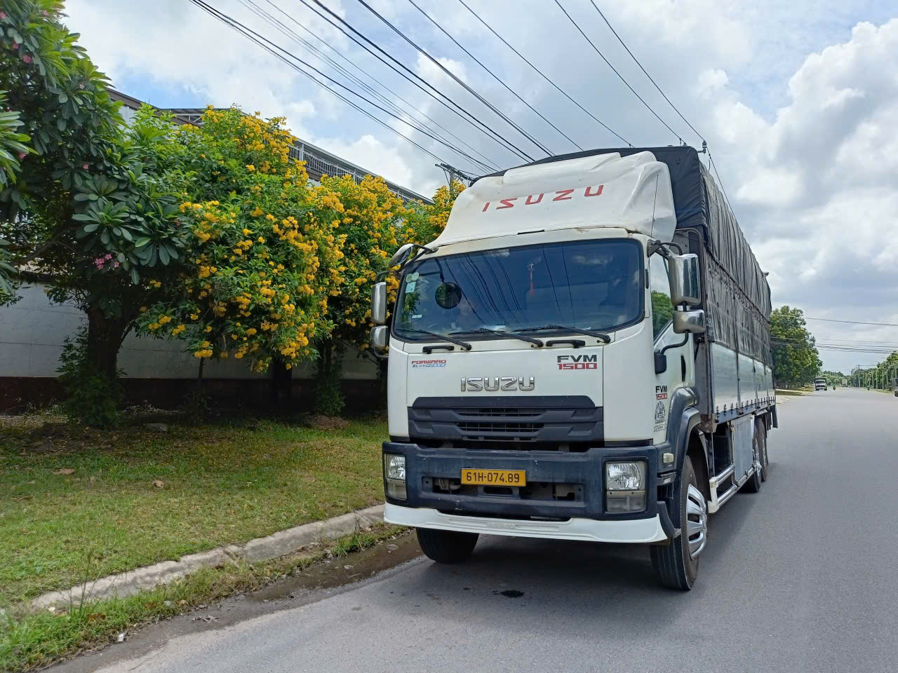 fvm sx2019  ha tai cao 2650 dai 9.6