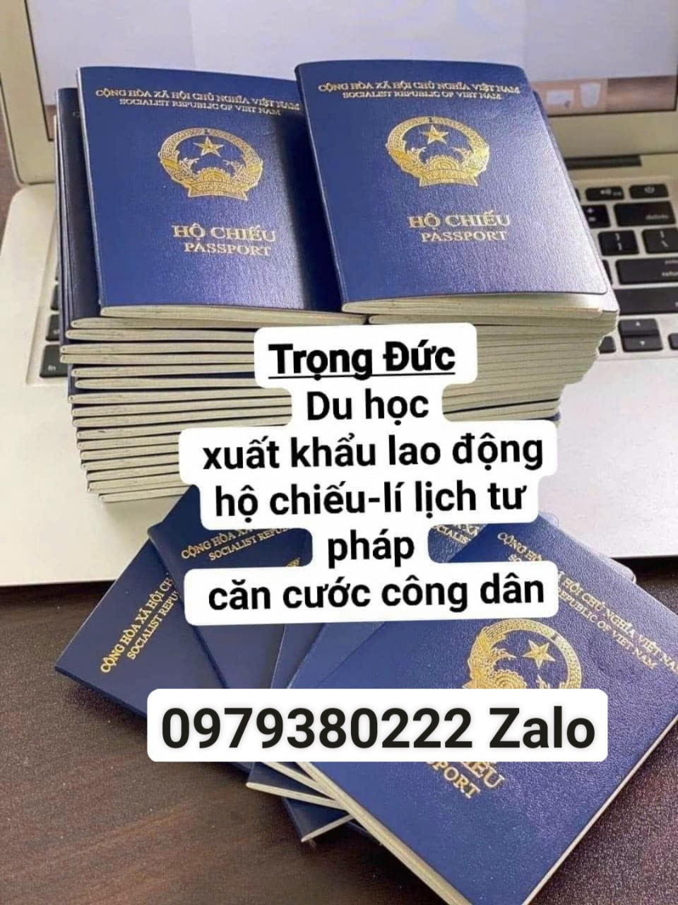 han hanh gioi thieu dich vu lam ho chieu online