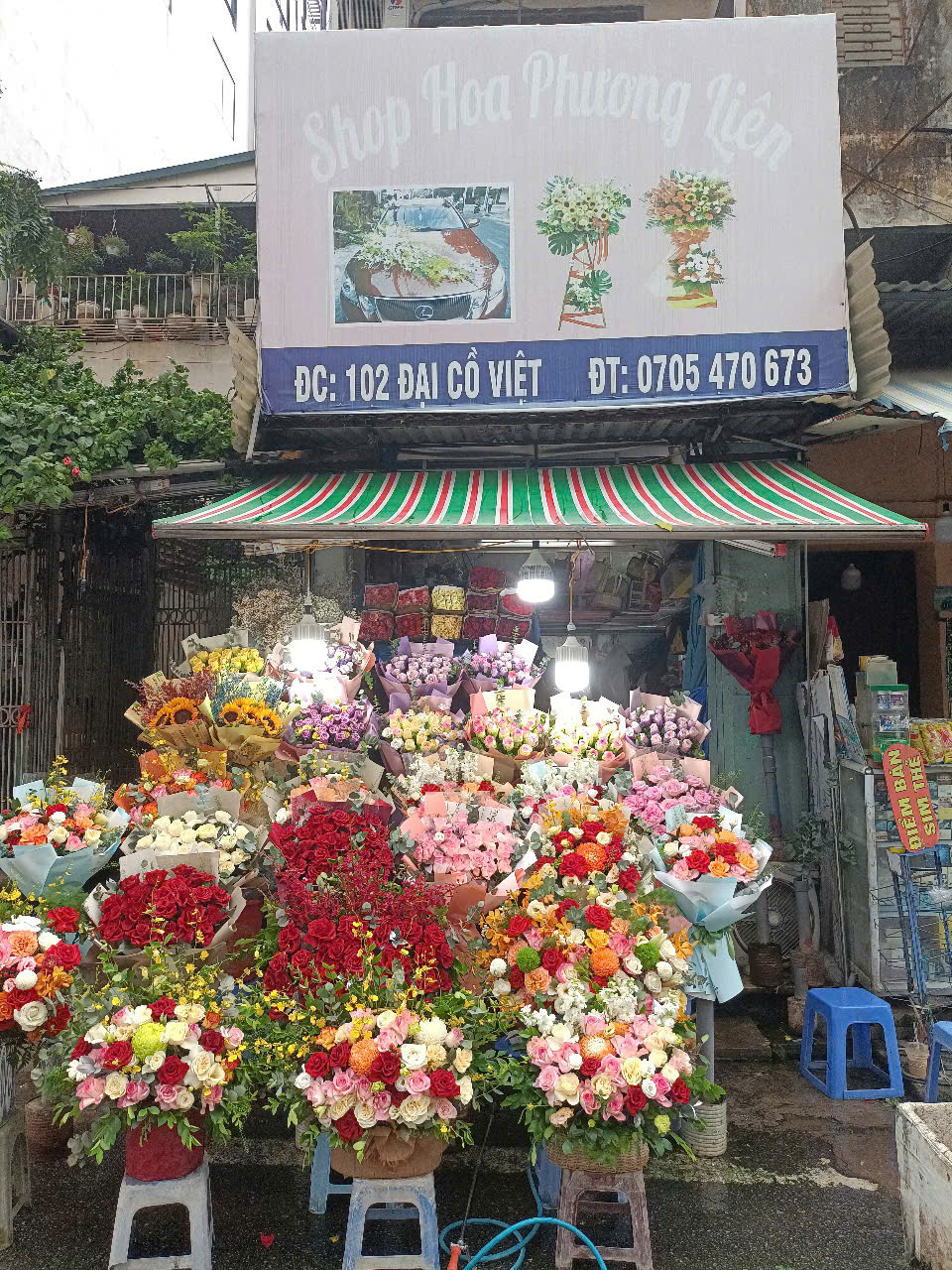 shophoa phuong lien co da dang mau hoa moi la, tre trung, hien dai cho me, cho nguoi than thuong