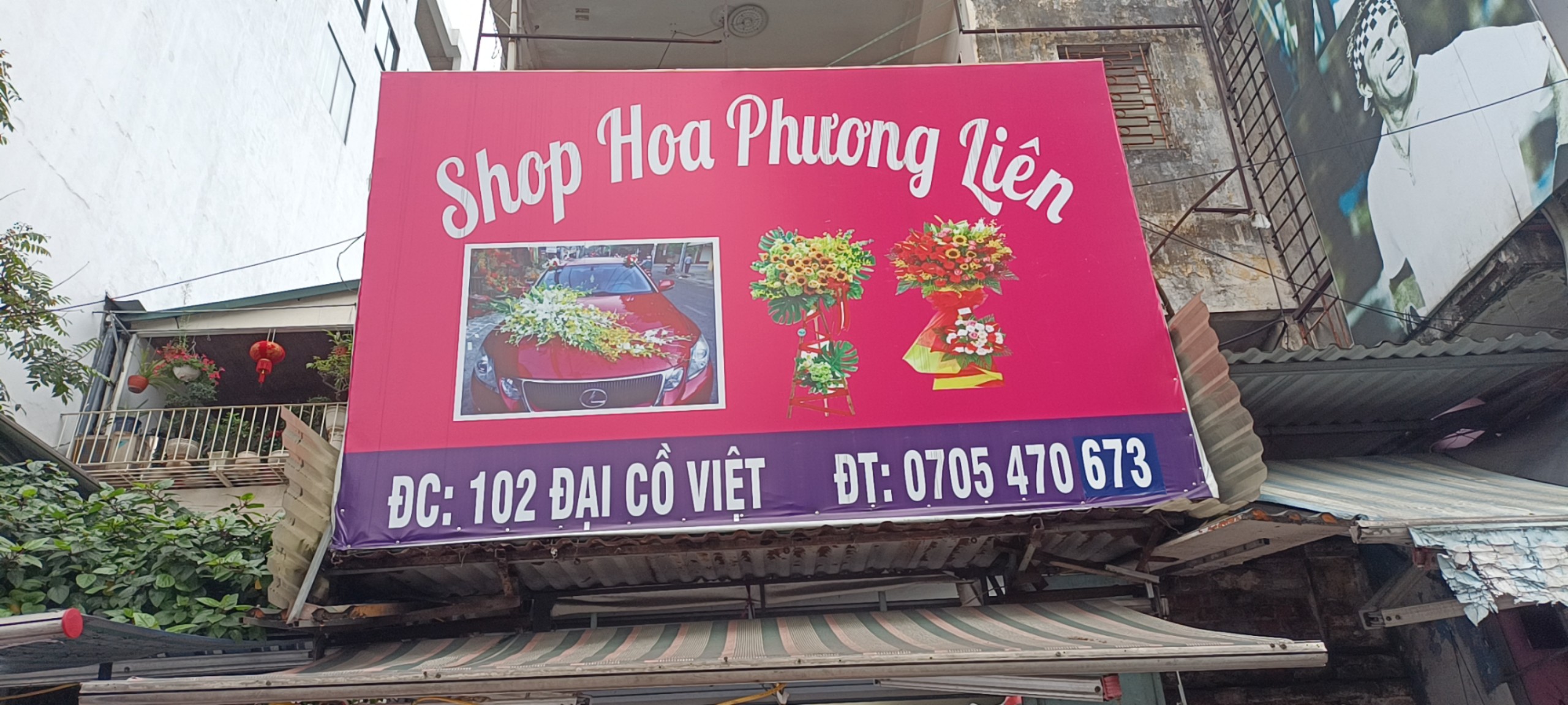 shophoa phuong lien co da dang mau hoa moi la, tre trung, hien dai cho me, cho nguoi than thuong