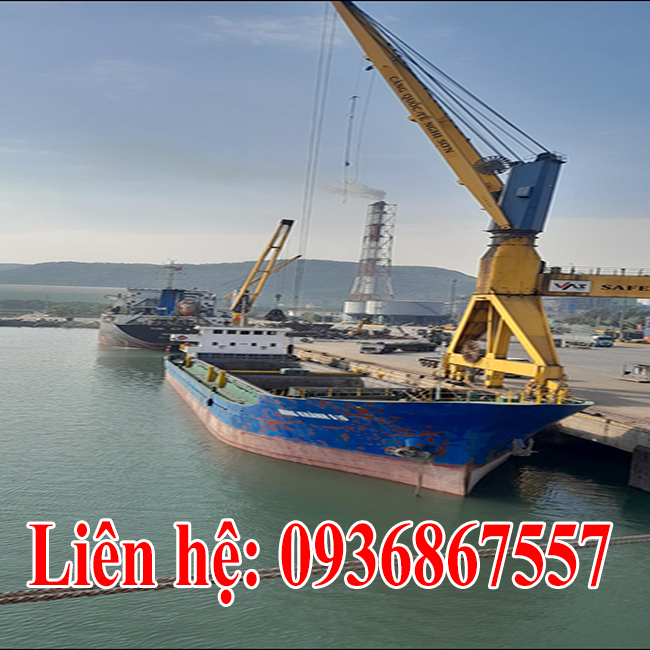 sua chua phuc hoi, dai tu gau ngoam tai hai phong