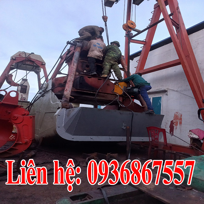 sua chua phuc hoi, dai tu gau ngoam tai hai phong