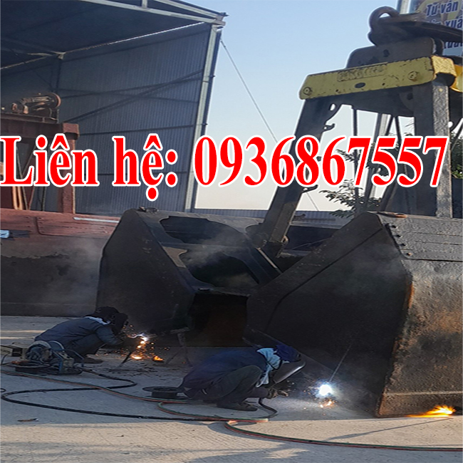 sua chua phuc hoi, dai tu gau ngoam tai hai phong